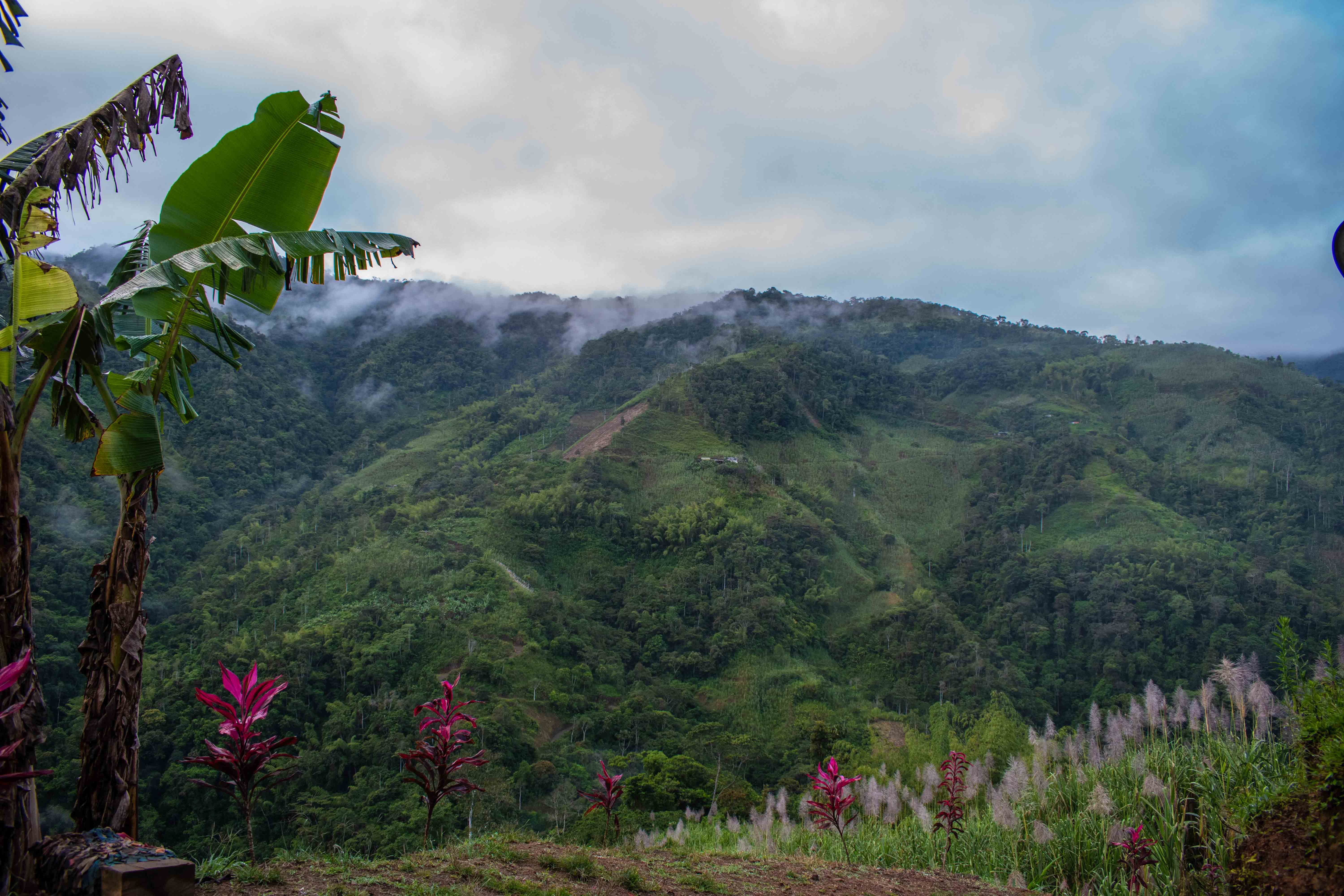 Fotografía profesional — Juandagoh, Colombia